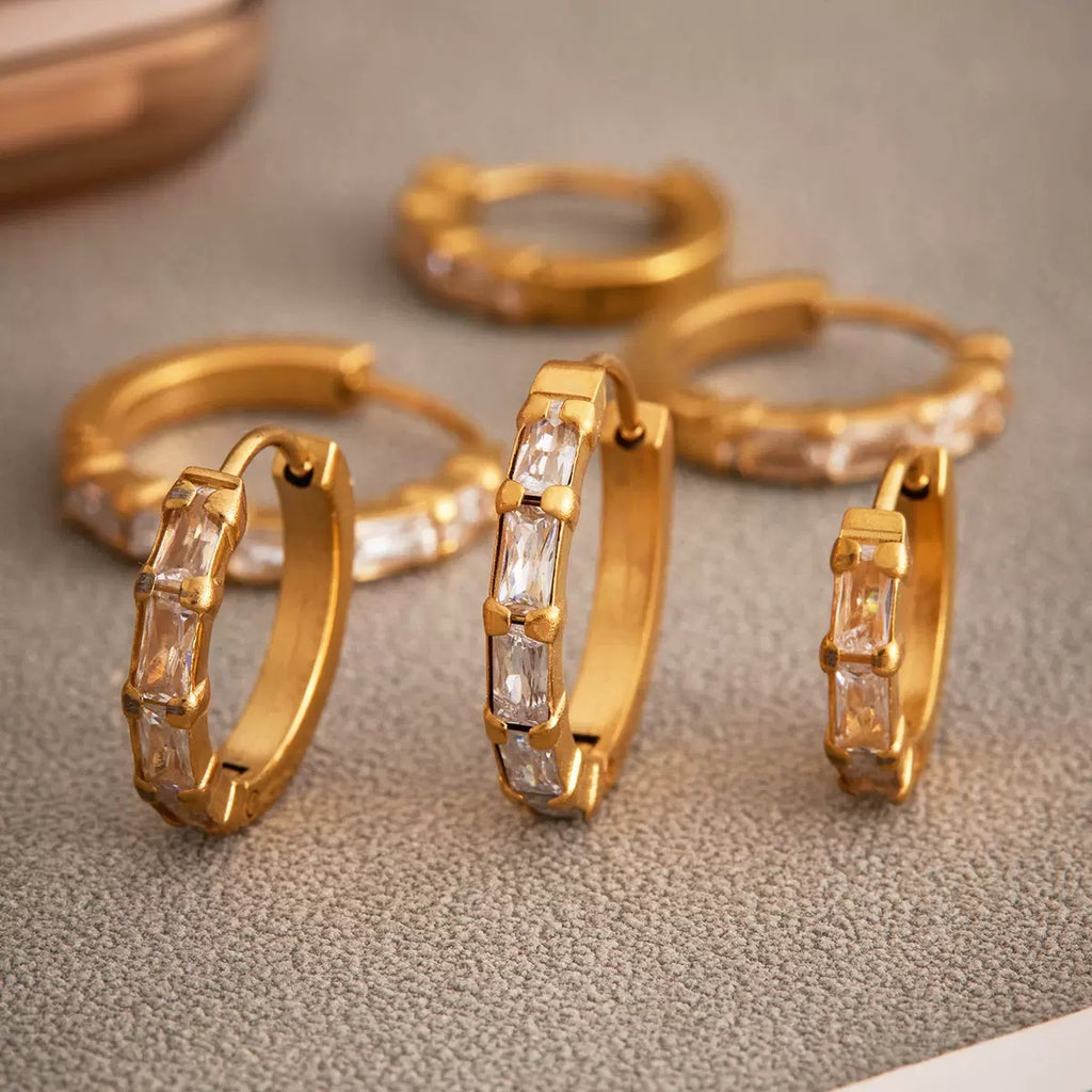 Milii Ring Shaped Zircon Stainless Steel Earrings
