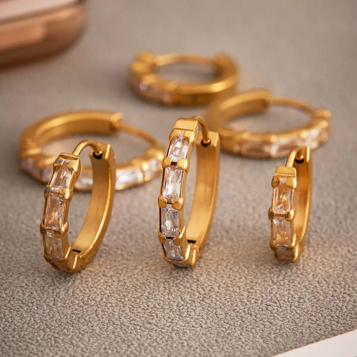 Milii Ring Shaped Zircon Stainless Steel Earrings